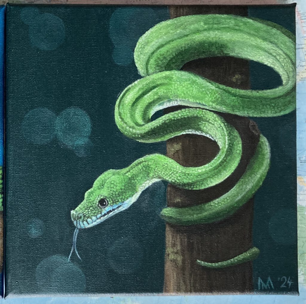 Schilderij – Groene boompython (Morelia viridis)