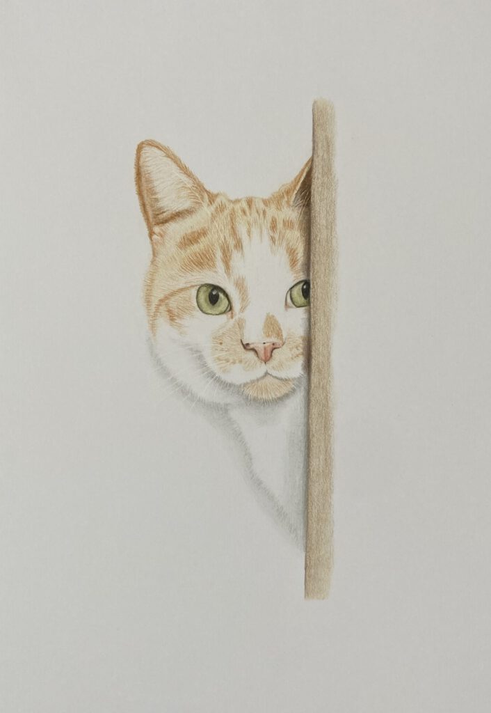 Tekening – Opdracht😊